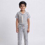 Veylora Boys White Blue Line Co-Ord Set | Half Shirt & Full Pants - Image 4